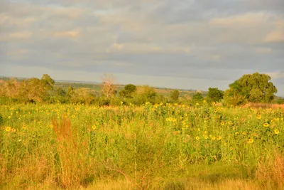 DSC_4322 (Large).JPG